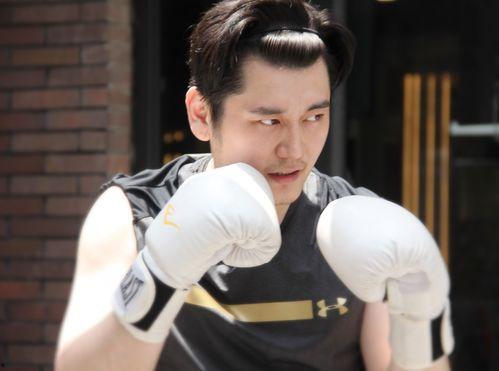 王岳岳最新爆料视频大全,揭秘背后惊人真相