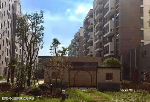 宜州新闻爆料热线最新,聚焦民生热点，传递社会声音