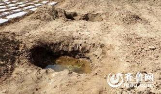 蒙阴县最新爆料新闻事件,最新爆料揭示惊人真相