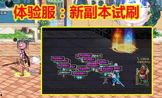 11.21体验服最新爆料,揭秘版本更新亮点与前瞻