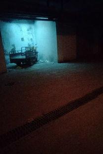 喧嚣最新爆料,揭秘娱乐圈惊天秘密！