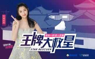 金富善爆料视频大全集最新,揭秘娱乐圈不为人知的秘密