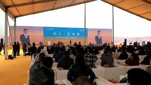 阜阳最新爆料深圳事件新闻,阜阳最新爆料揭示惊人内幕